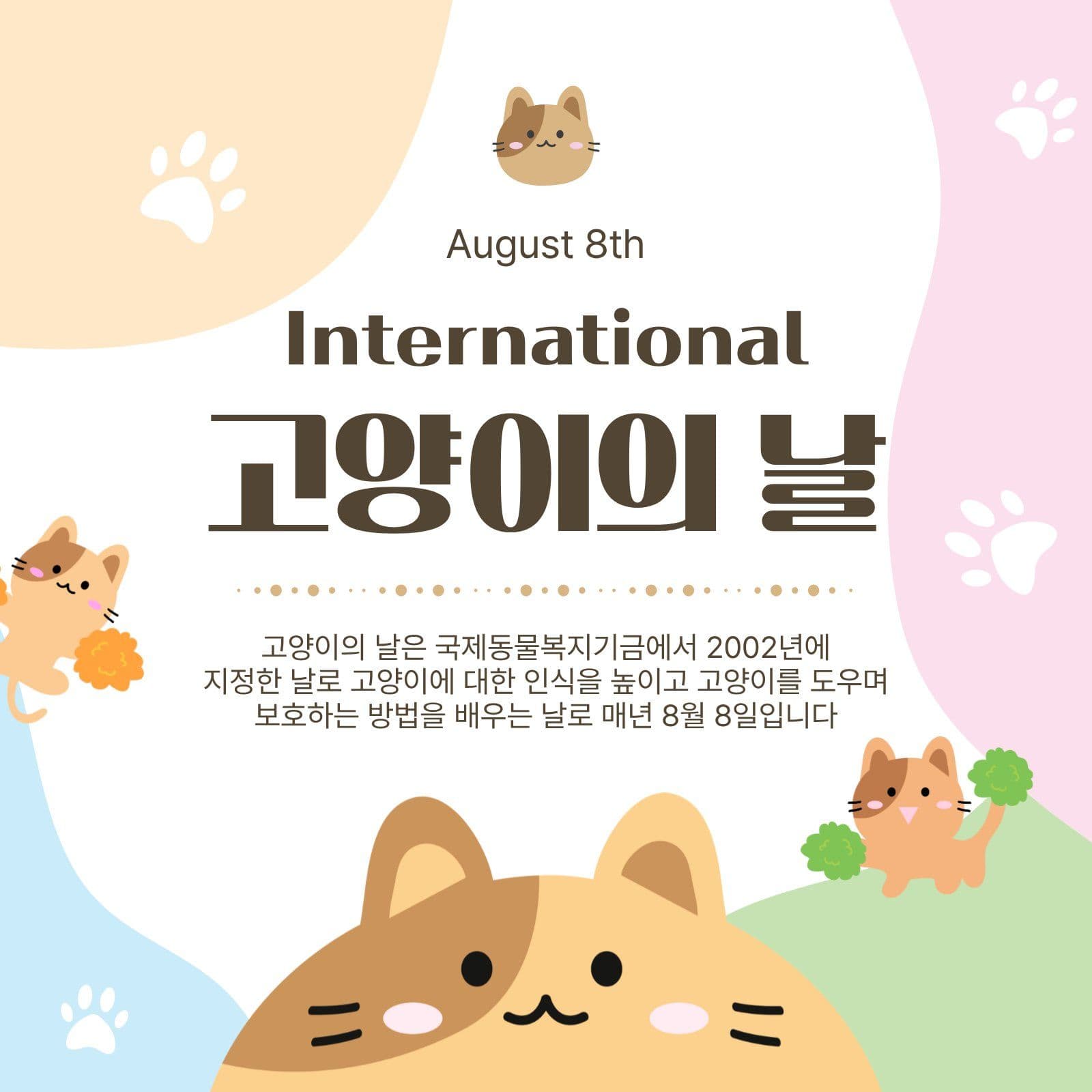 세계고양이의날