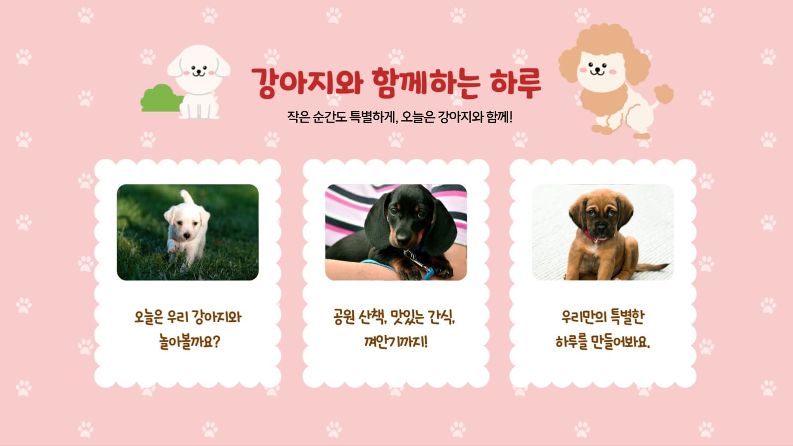 국제 강아지의날 행사