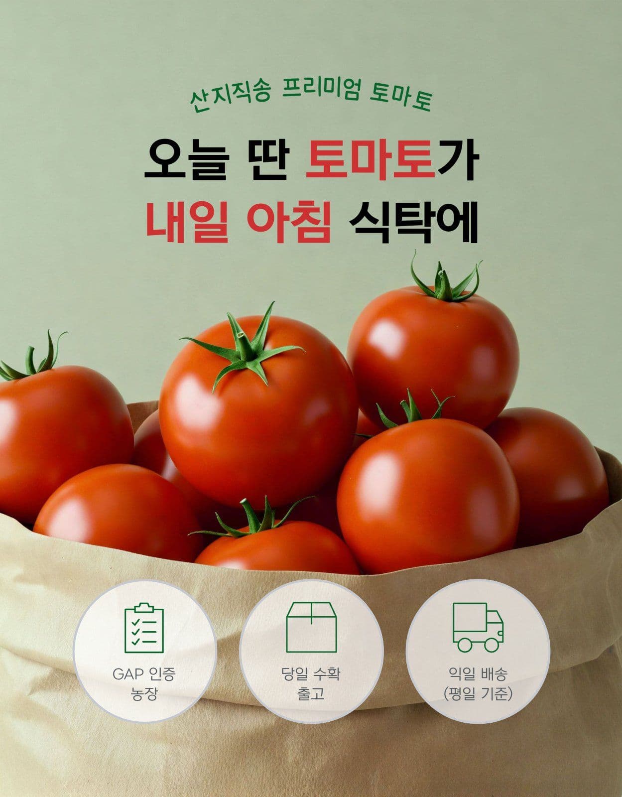토마토 과일 야채 식품 상세페이지
