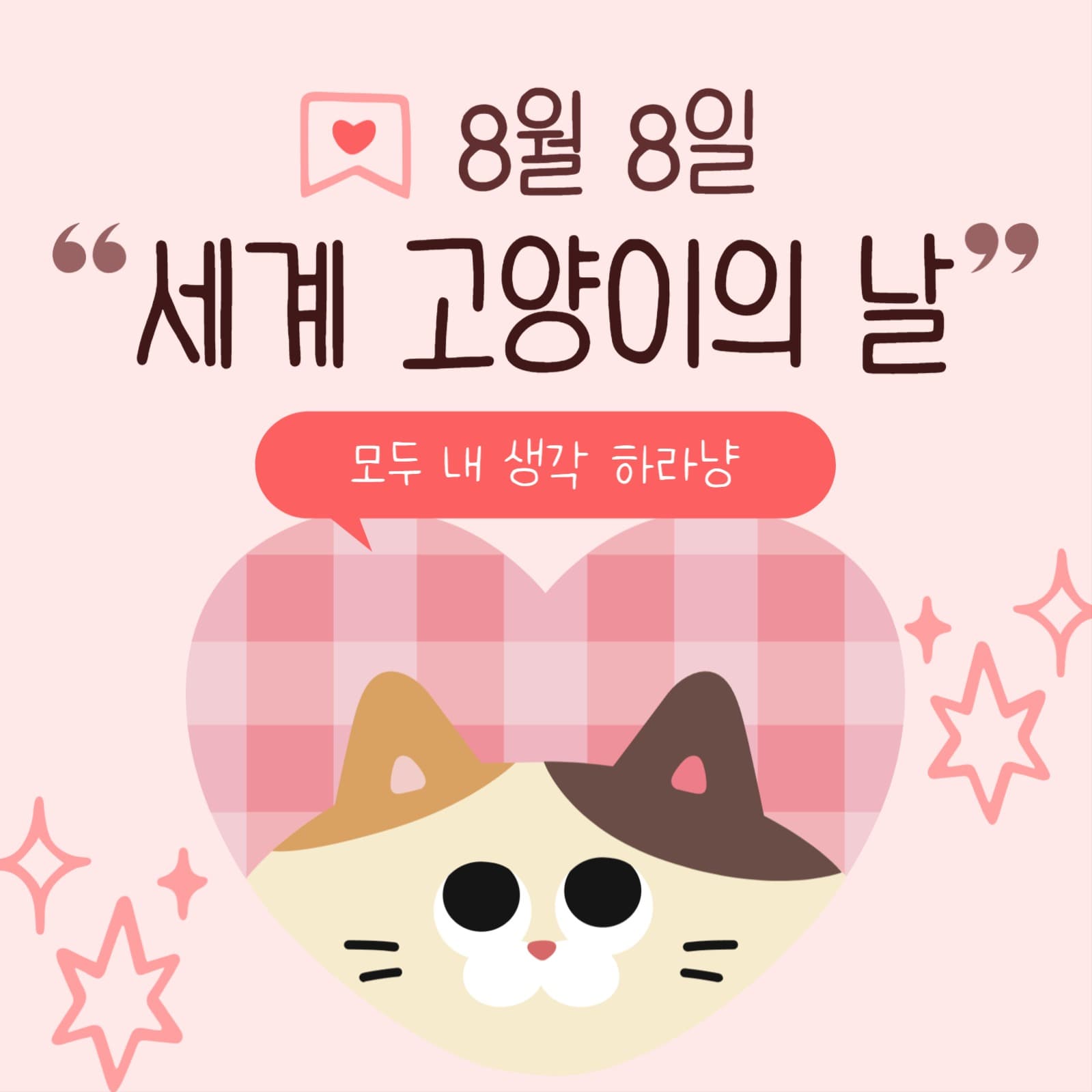 240728_8월8일고양이의날