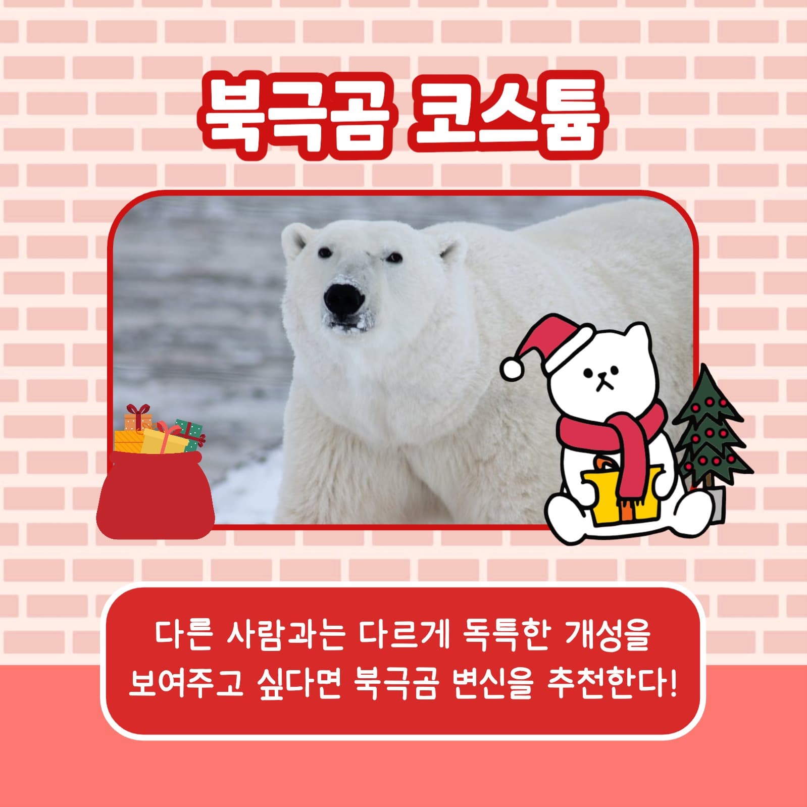성탄절 코스튬 카드뉴스