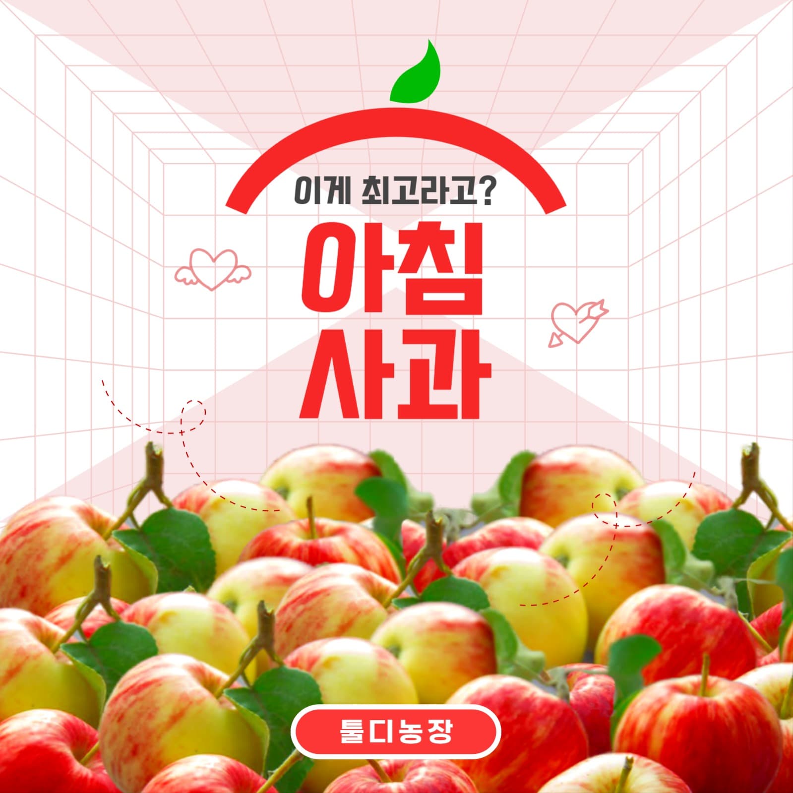 사과 템플릿