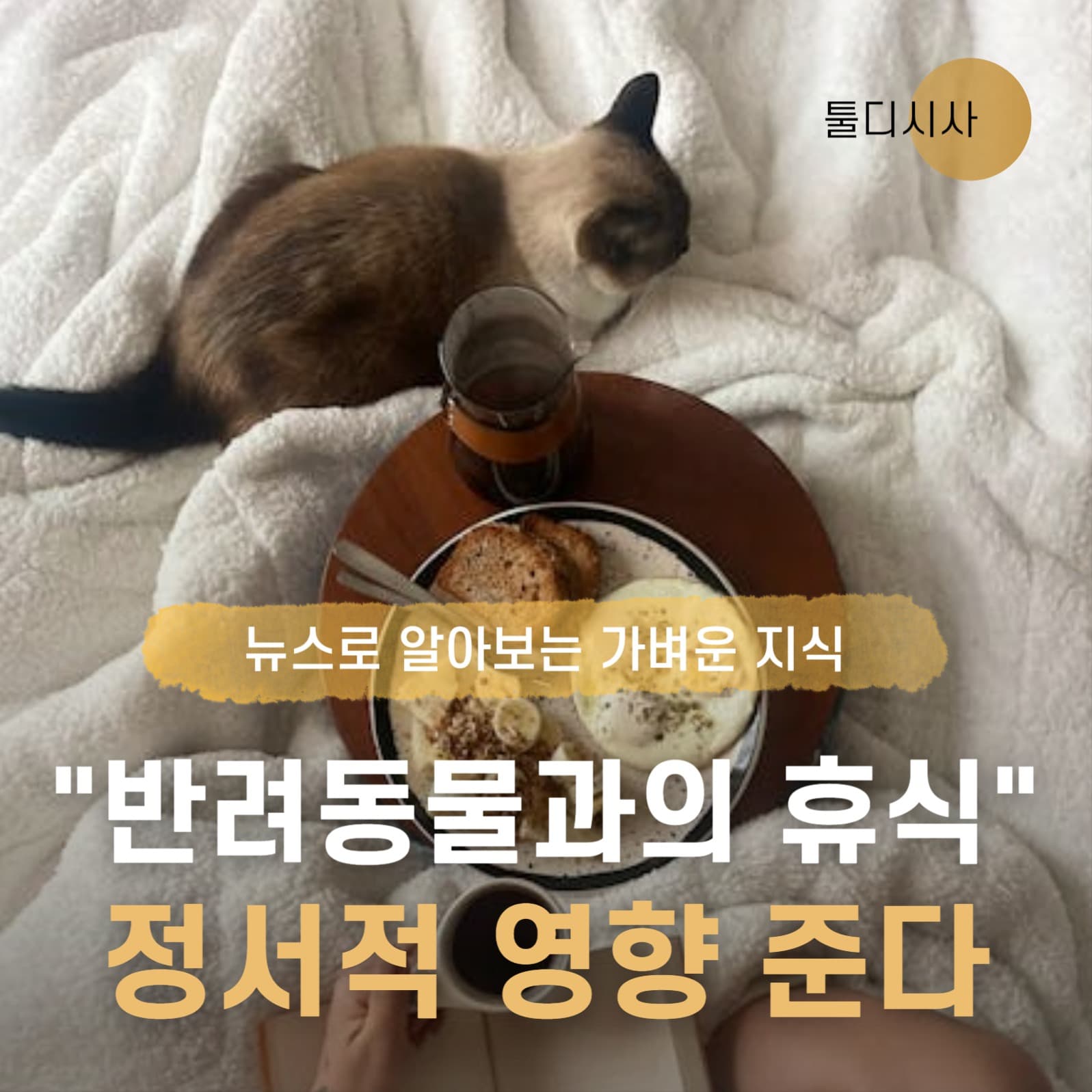 지식 소셜미디어 게시물