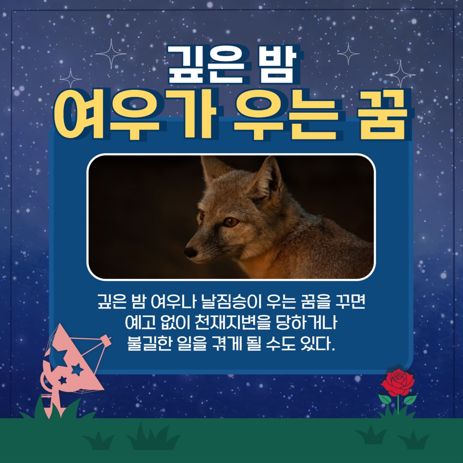 여우 꿈 해몽