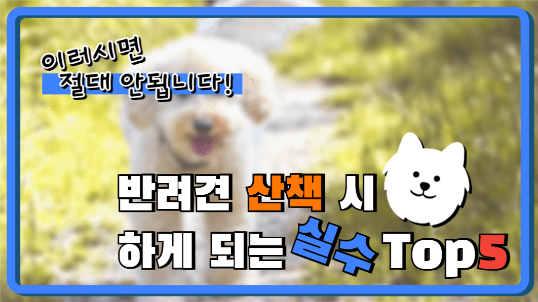 유튜브썸네일_강아지산책