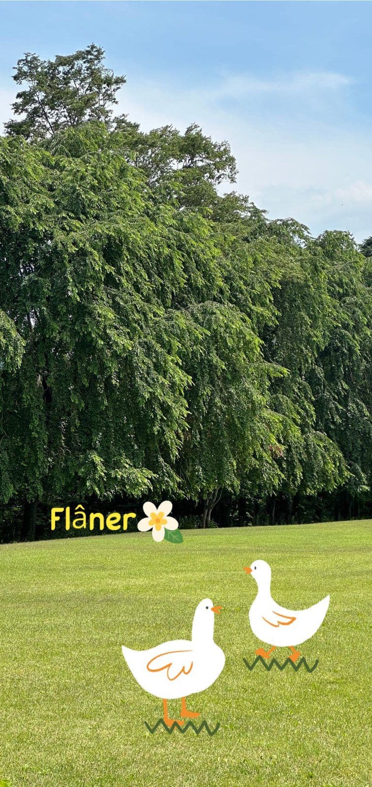 산책폰배경화면