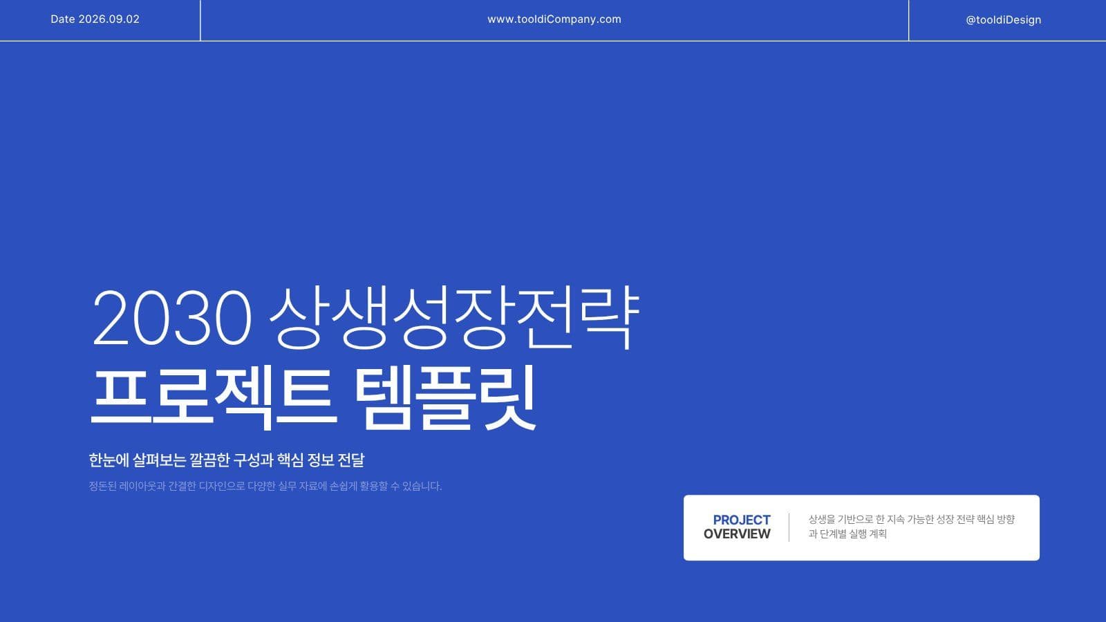 블루톤 비즈니스 전략보고서 PPT