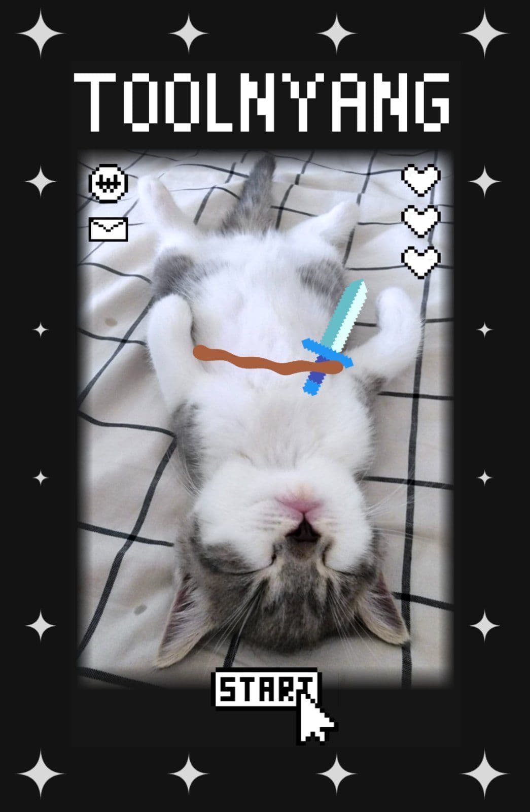 꿈꾸는 용사 툴냥이