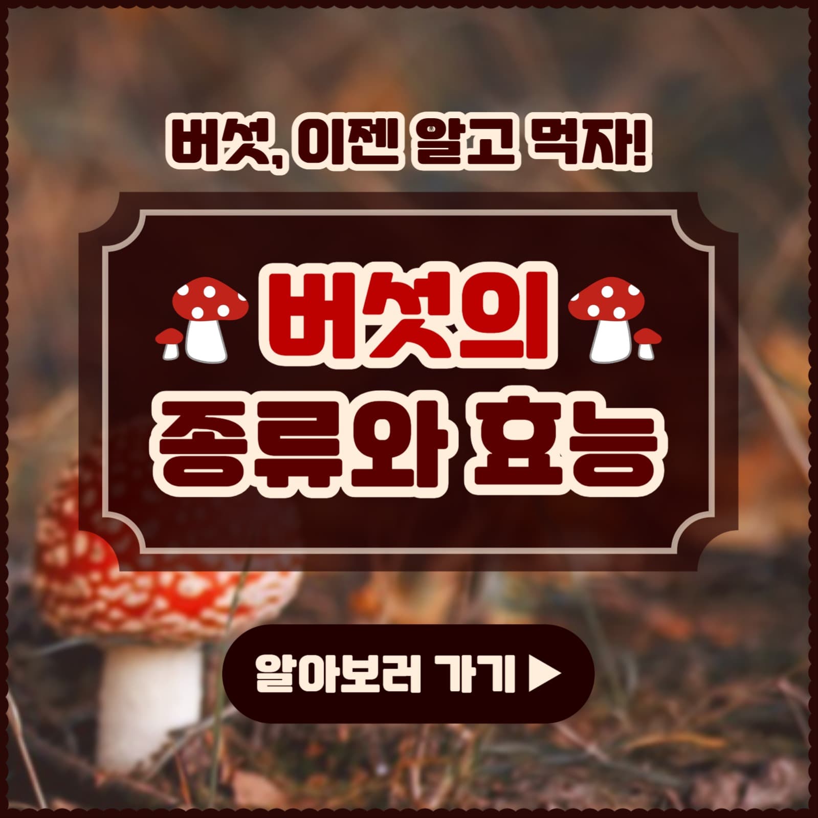 버섯의 종류와 효능 카드뉴스