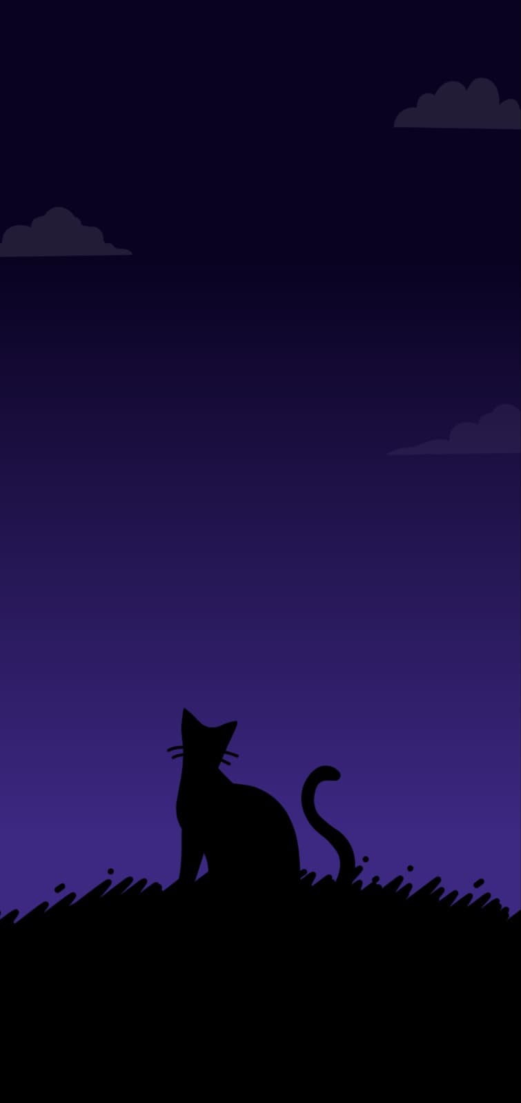 새벽언덕고양이