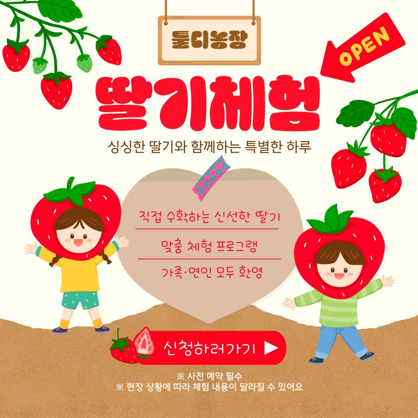 딸기체험