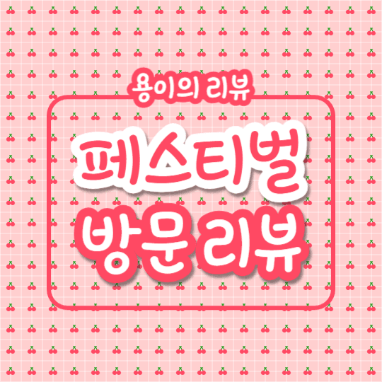 페스티벌 방문리뷰 (카드뉴스)