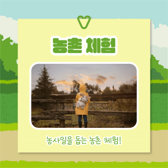여름방학 체험활동 (카드뉴스)