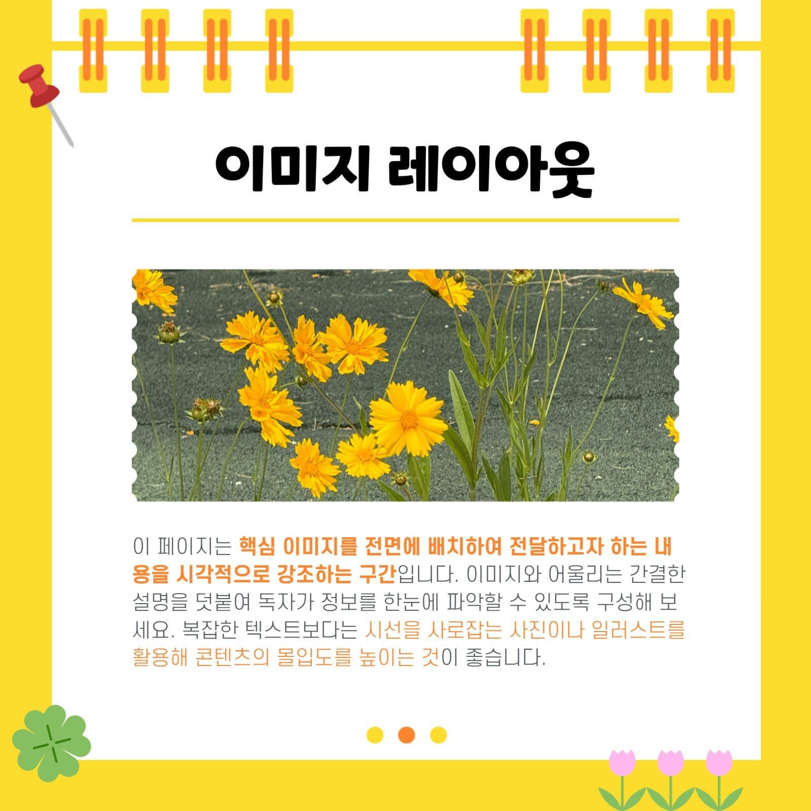 노랑 아기자기 카드뉴스