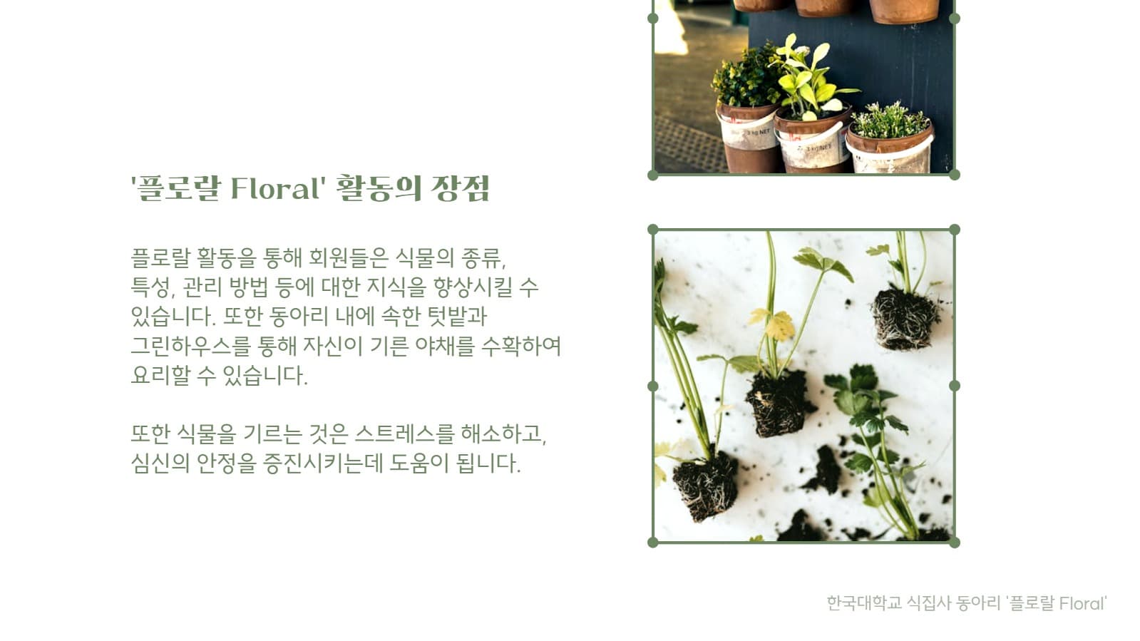 동아리 소개서 프레젠테이션