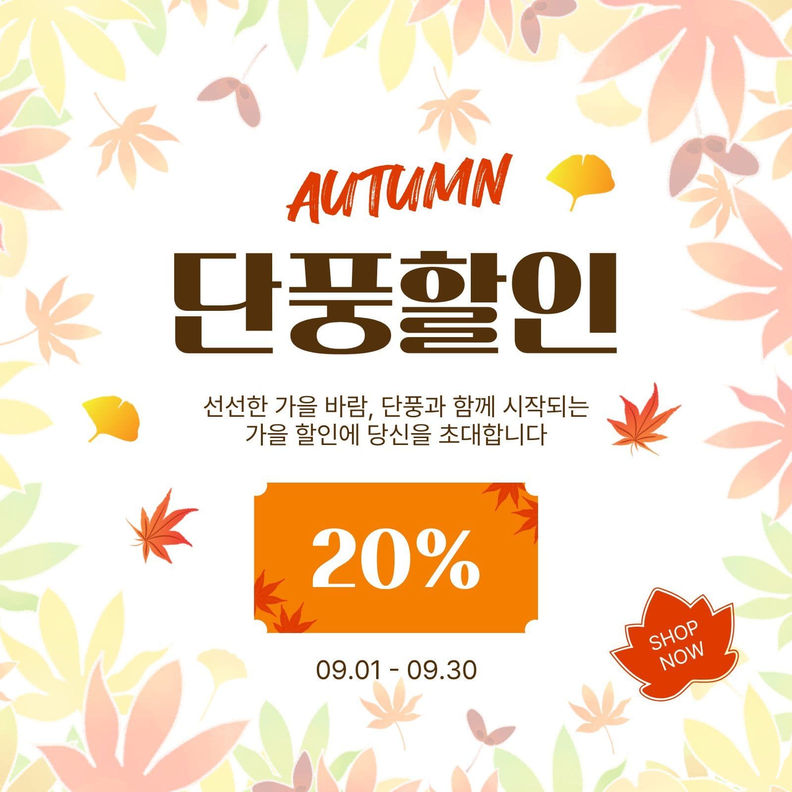 가을단풍할인