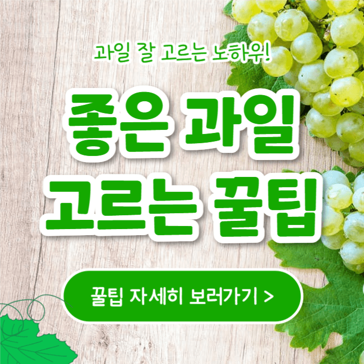 좋은 과일 고르는 꿀팁 (카드뉴스)