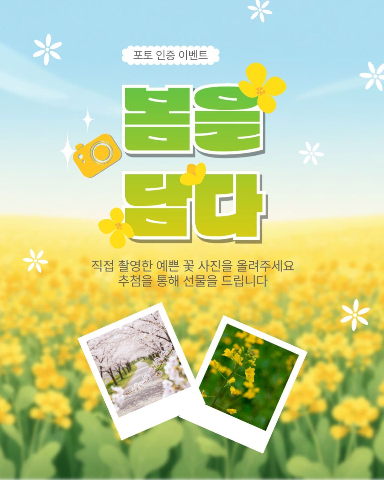 봄을담다