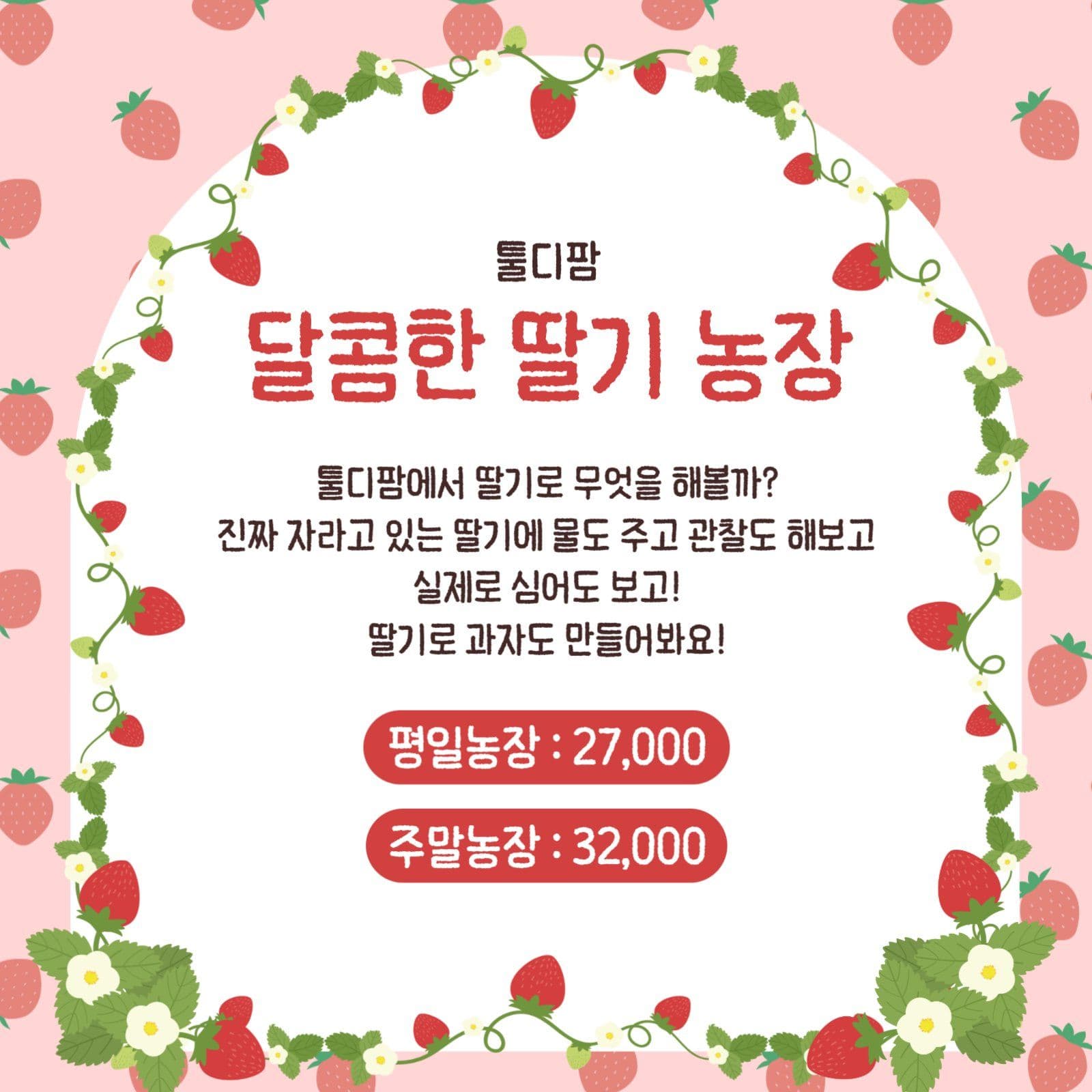 딸기 농장 체험