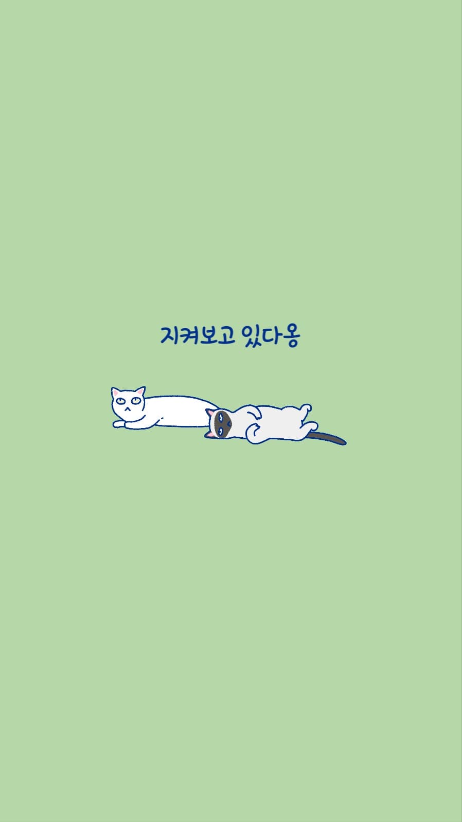 지켜보고 있다옹!