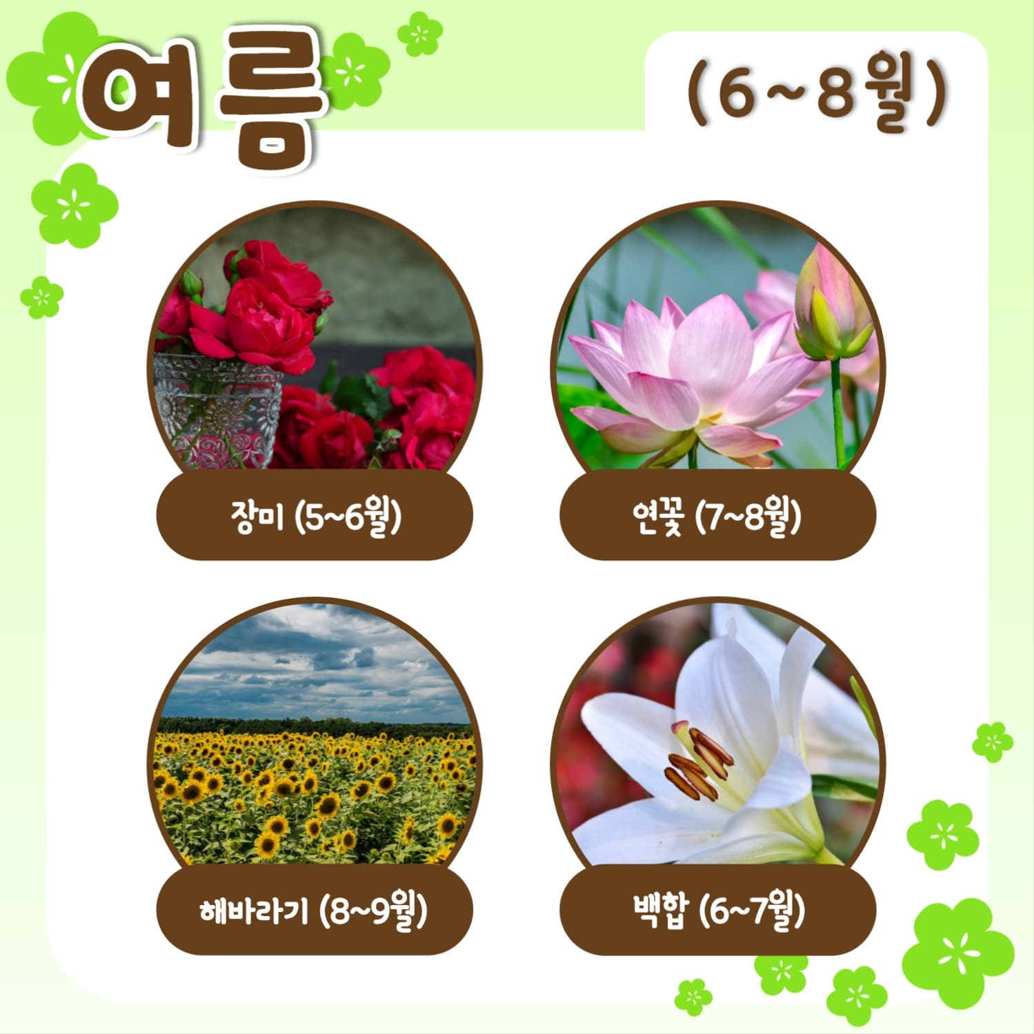 사계절 꽃 모음 템플릿