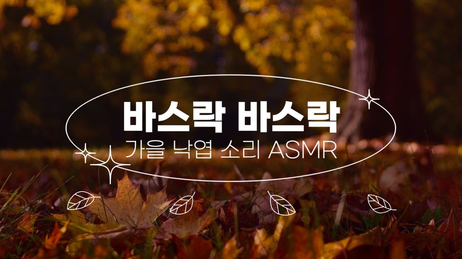가을 낙엽 소리 ASMR 유튜브