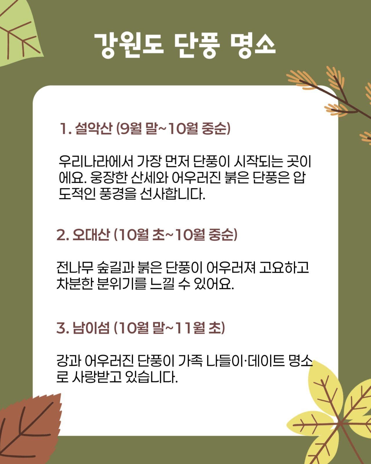가을 단풍 명소 홍보
