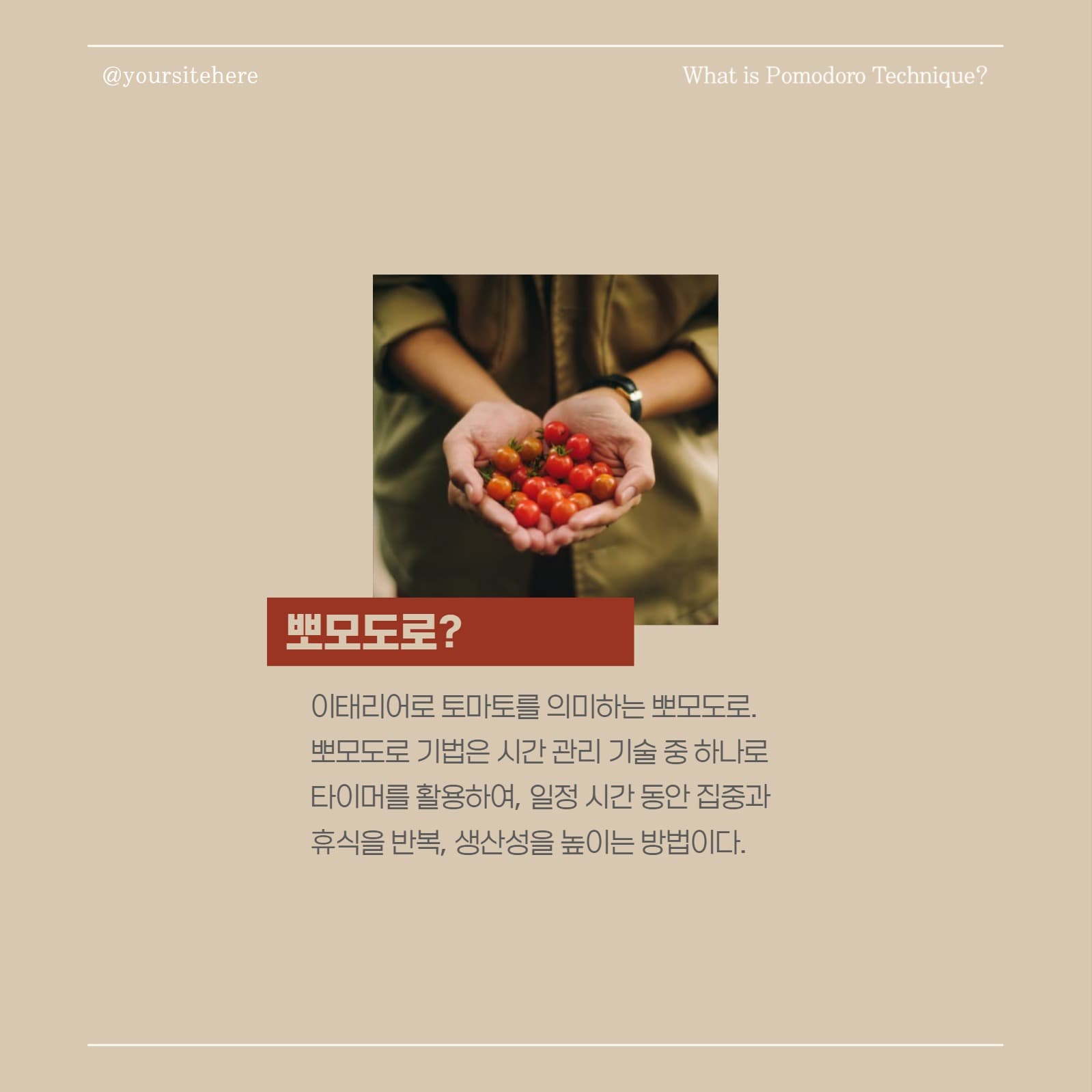 붉은색 심플한 정보 카드뉴스
