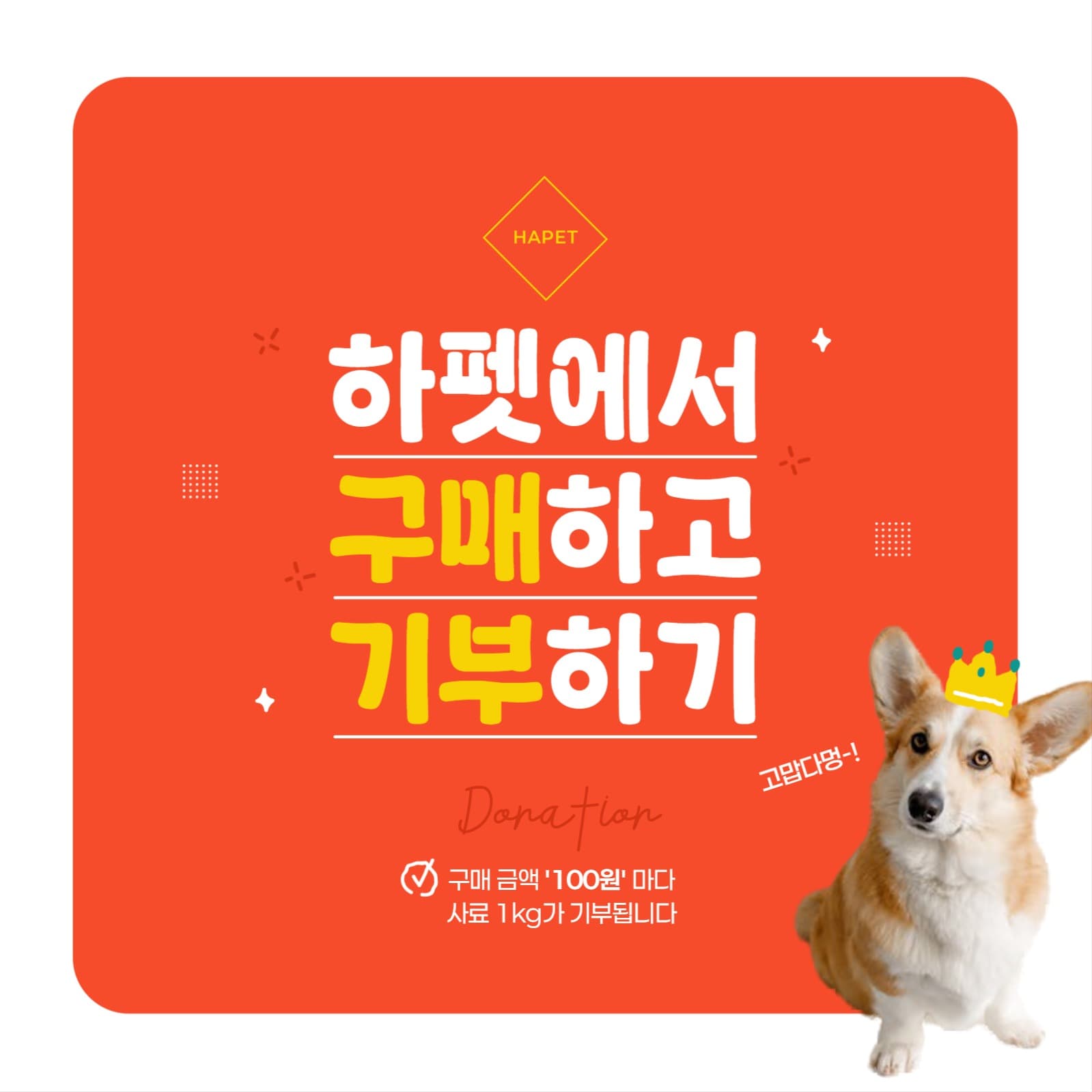 반려동물 구매기부 배너