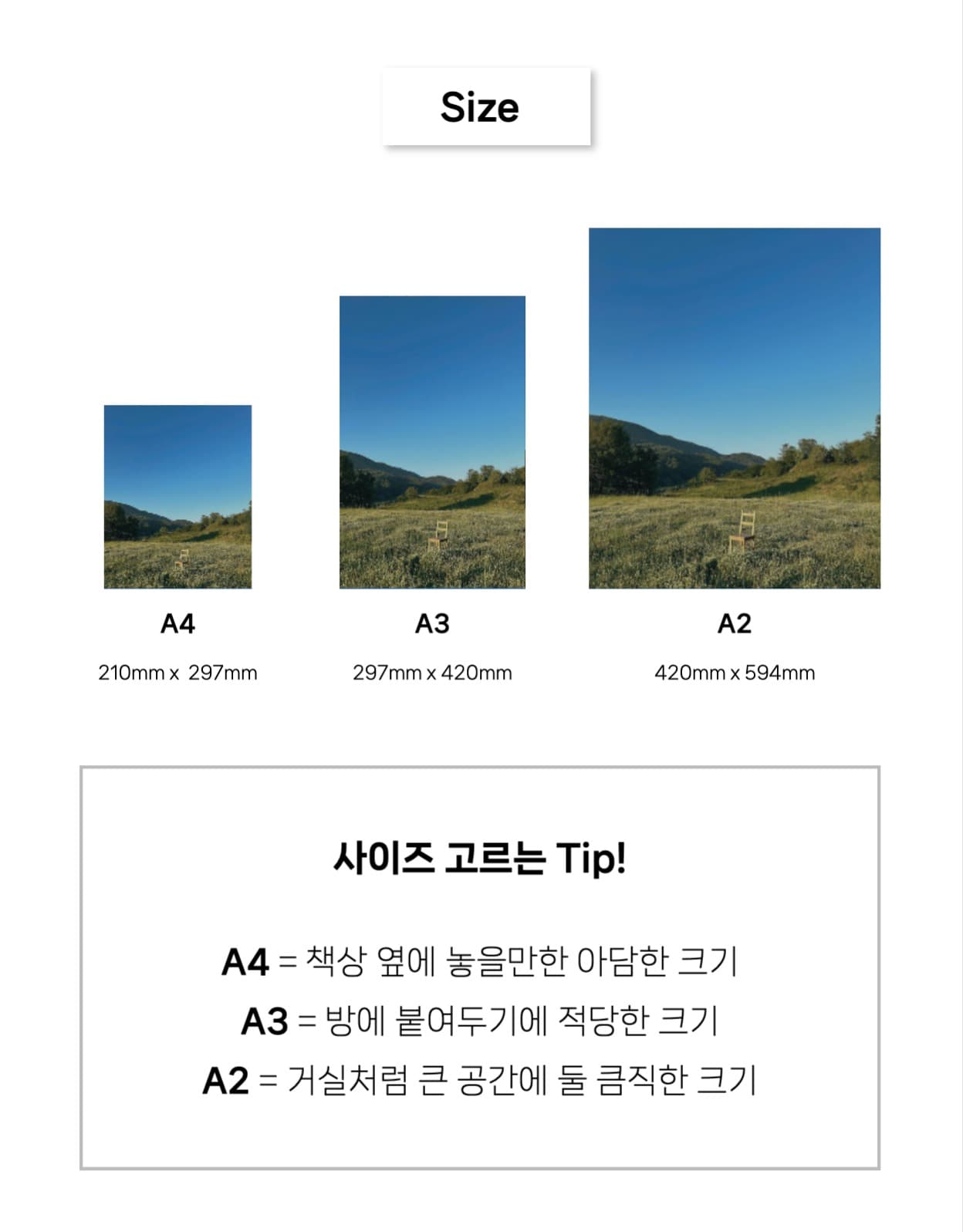 사진 포스터