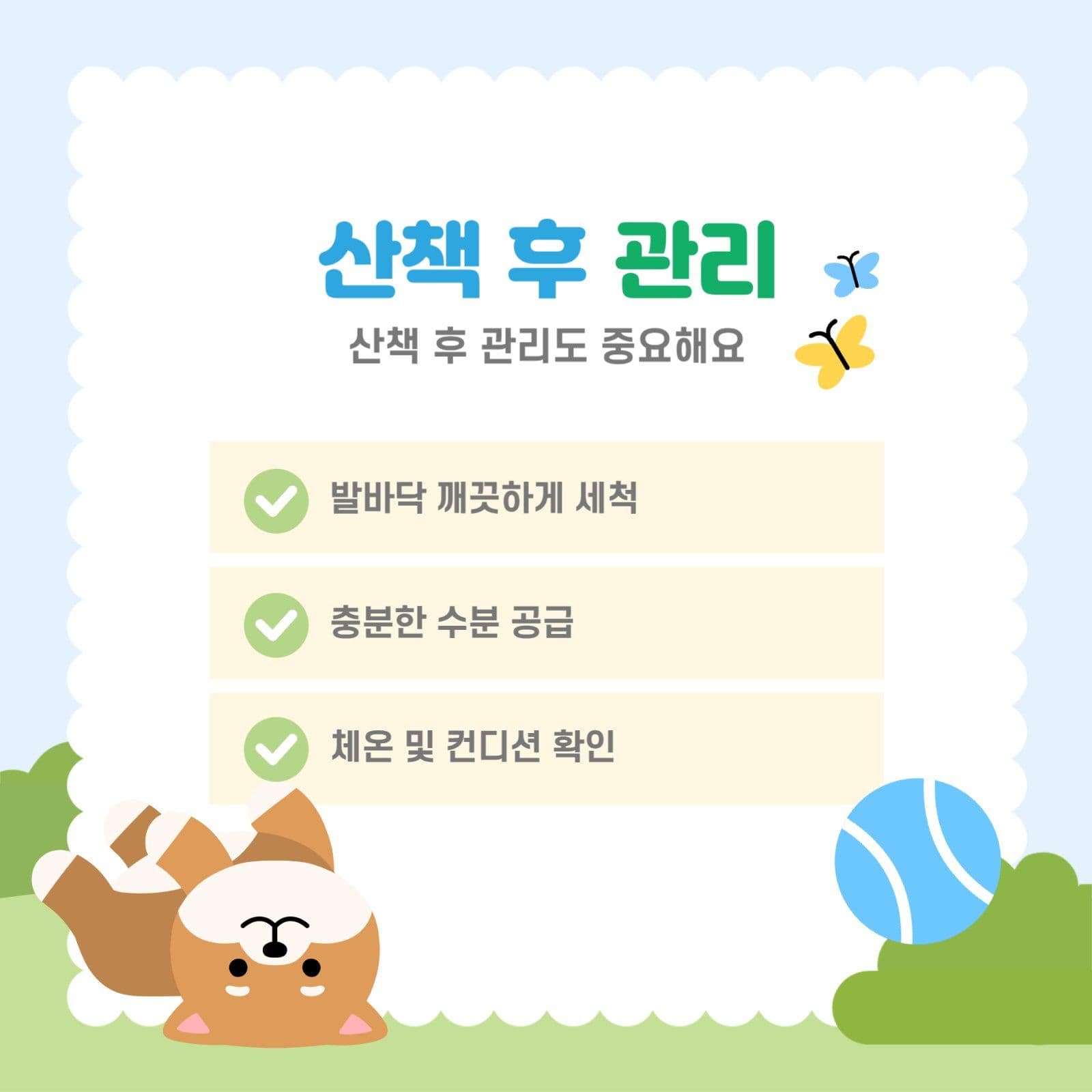 연두색 여름철 강아지 산책 안내