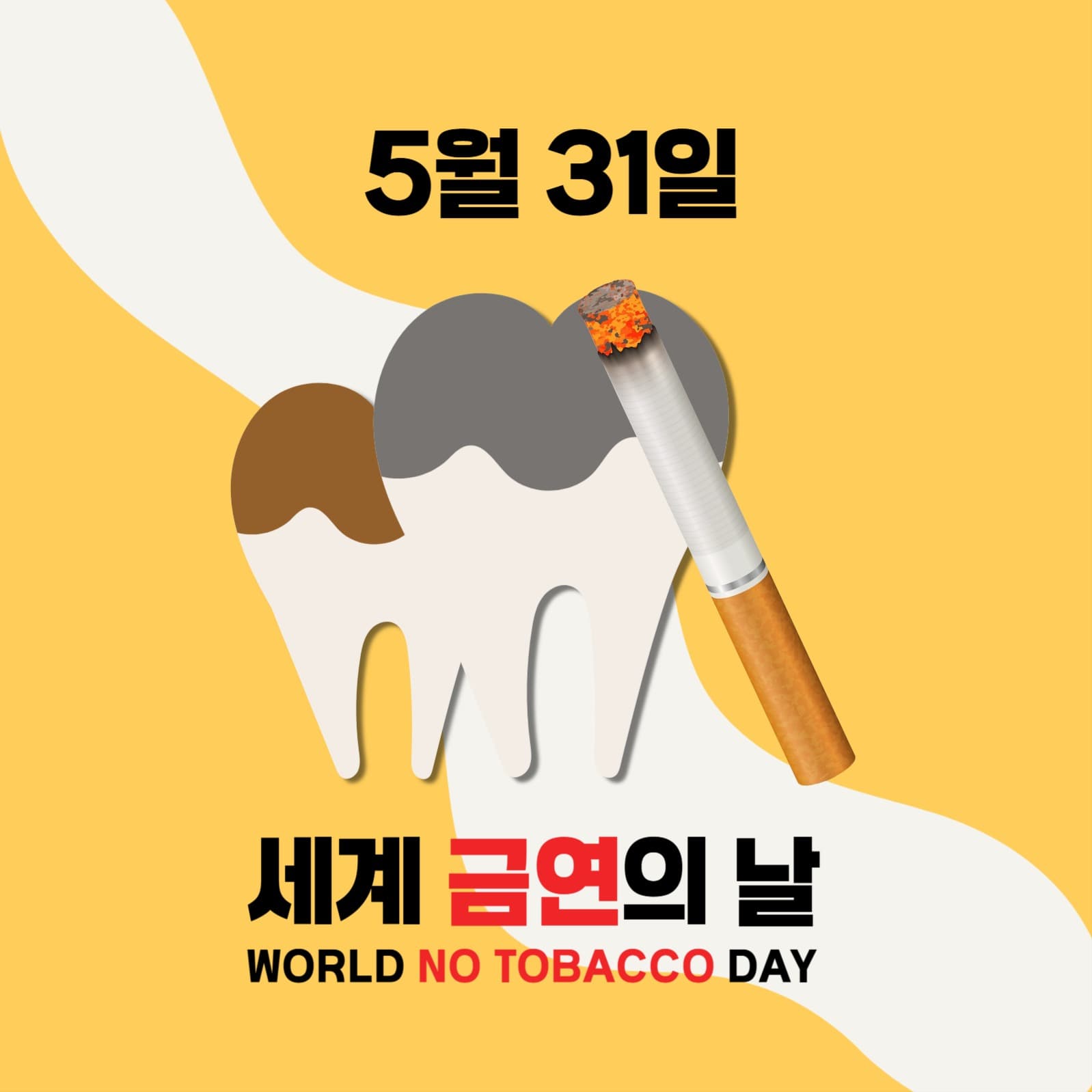 세계 금연의 날 