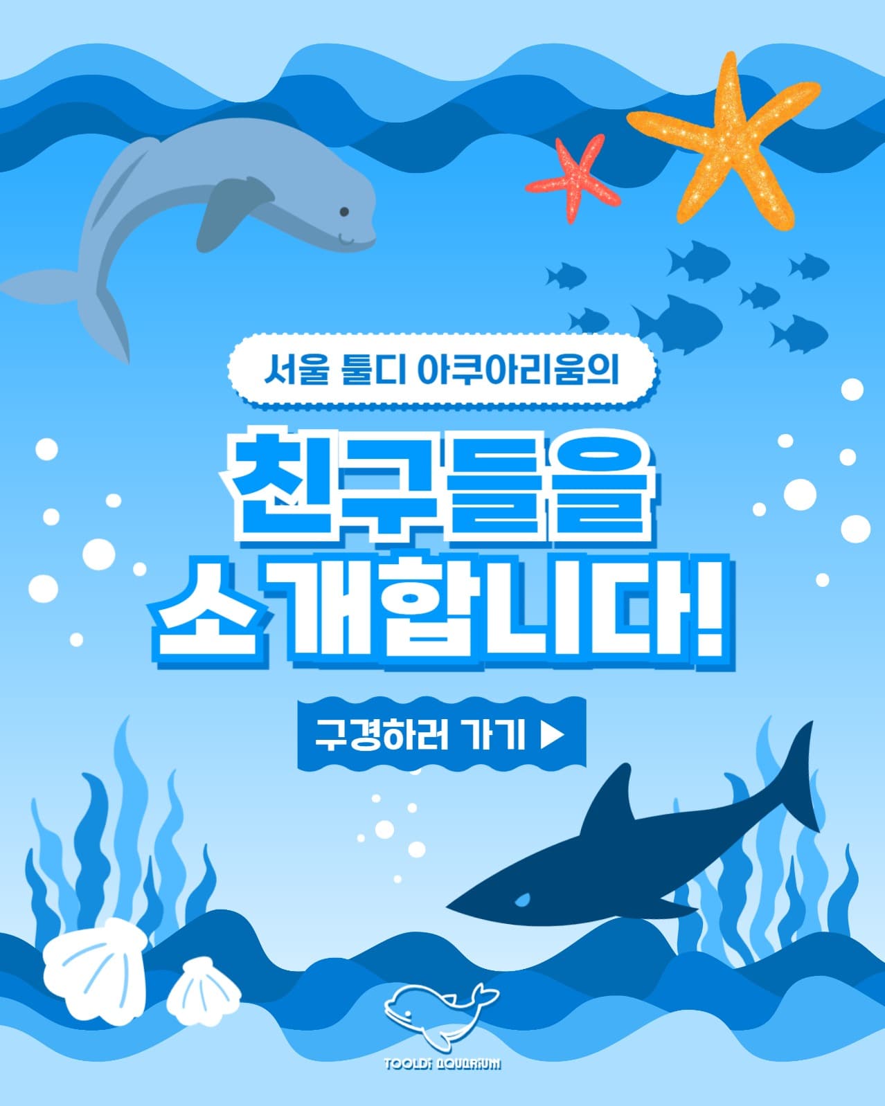 아쿠아리움 홍보 인스타(세로)