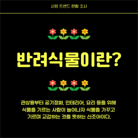 반려식물 키우기 (카드뉴스)