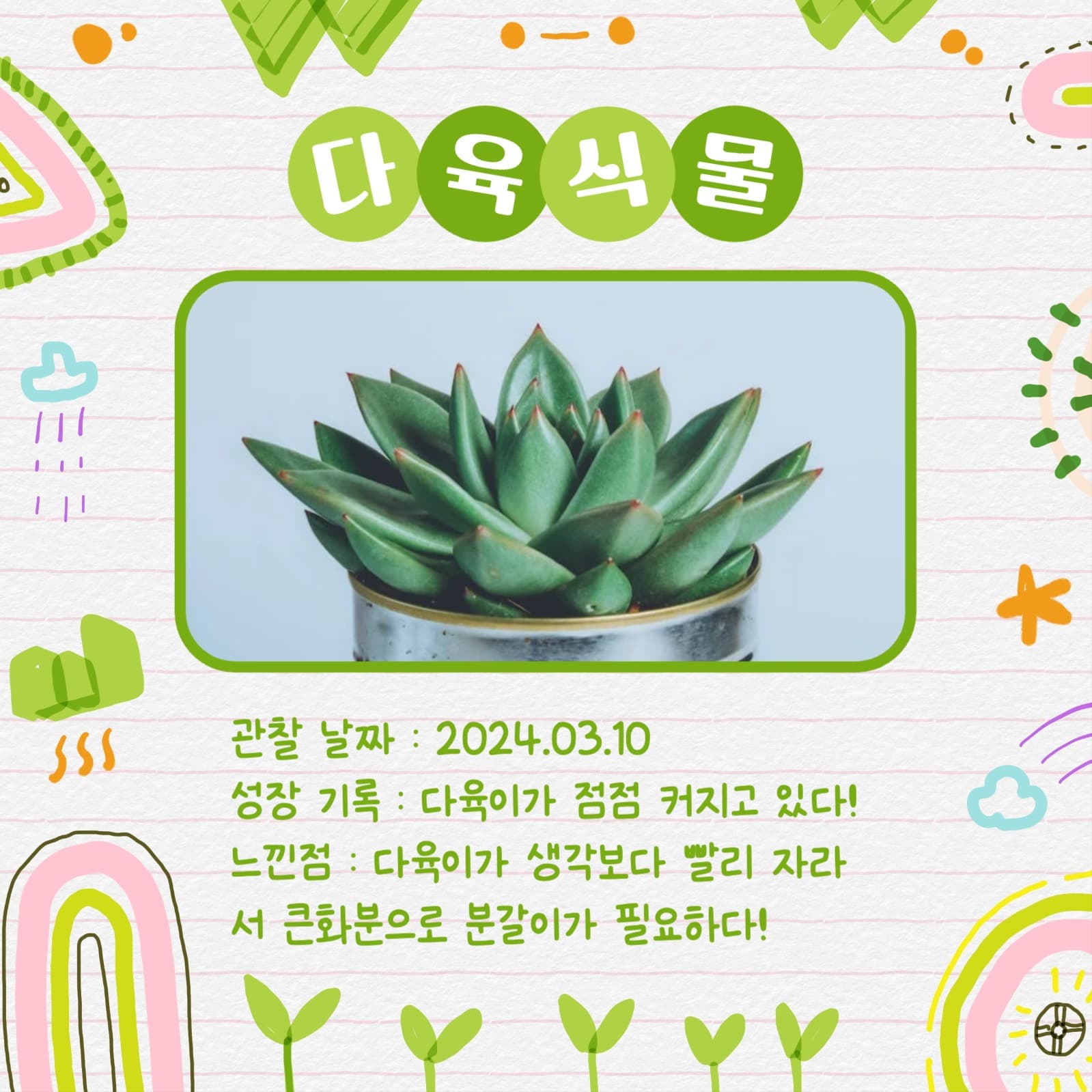 반려식물 관찰일지 카드뉴스