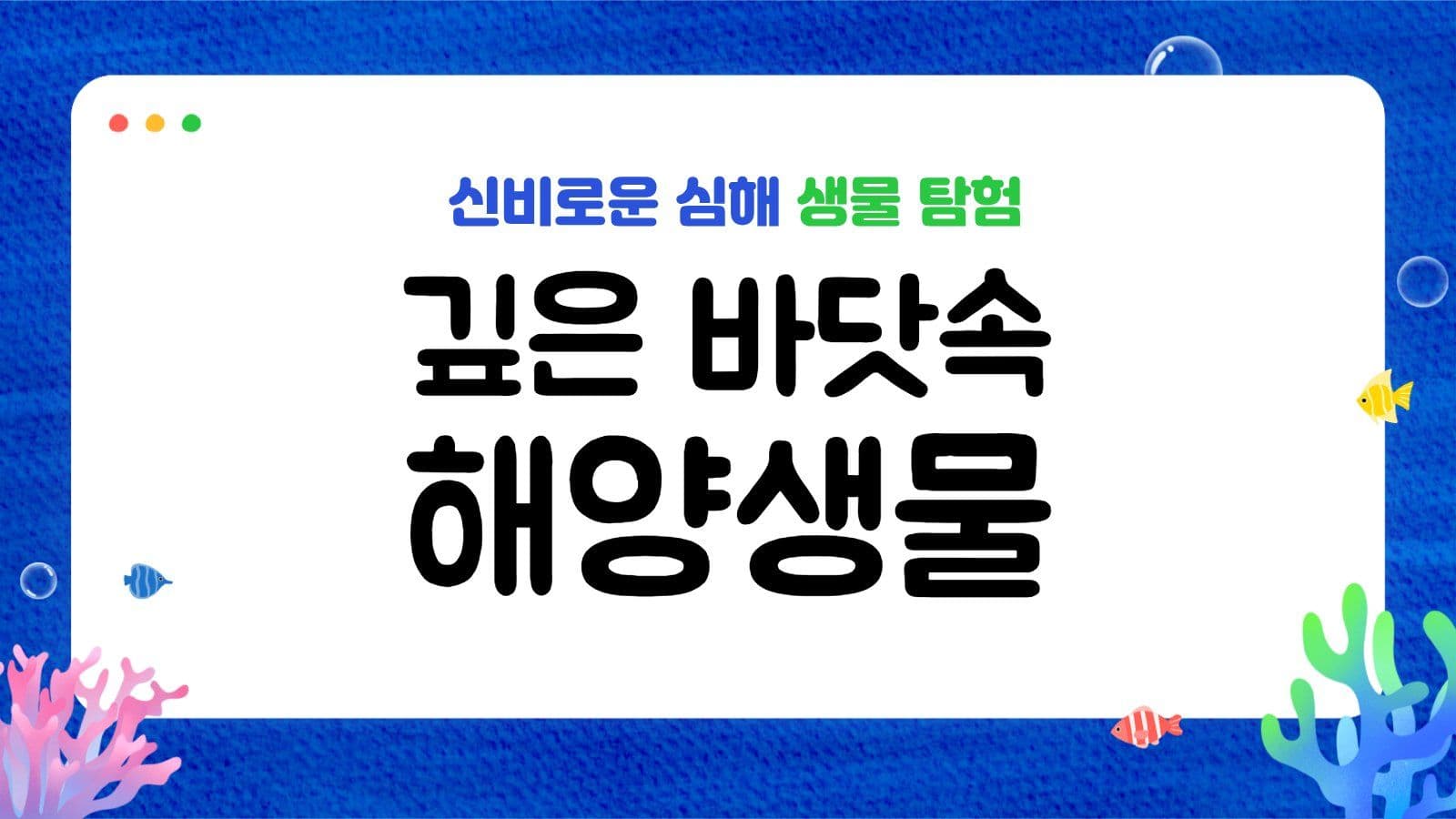 산호초 해양생물 교육자료