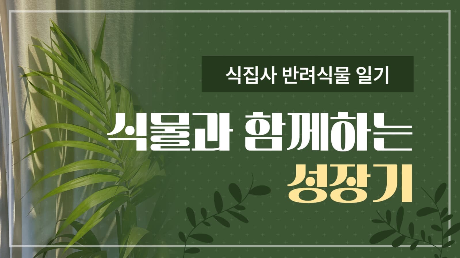 식물 일기 유튜브 썸네일