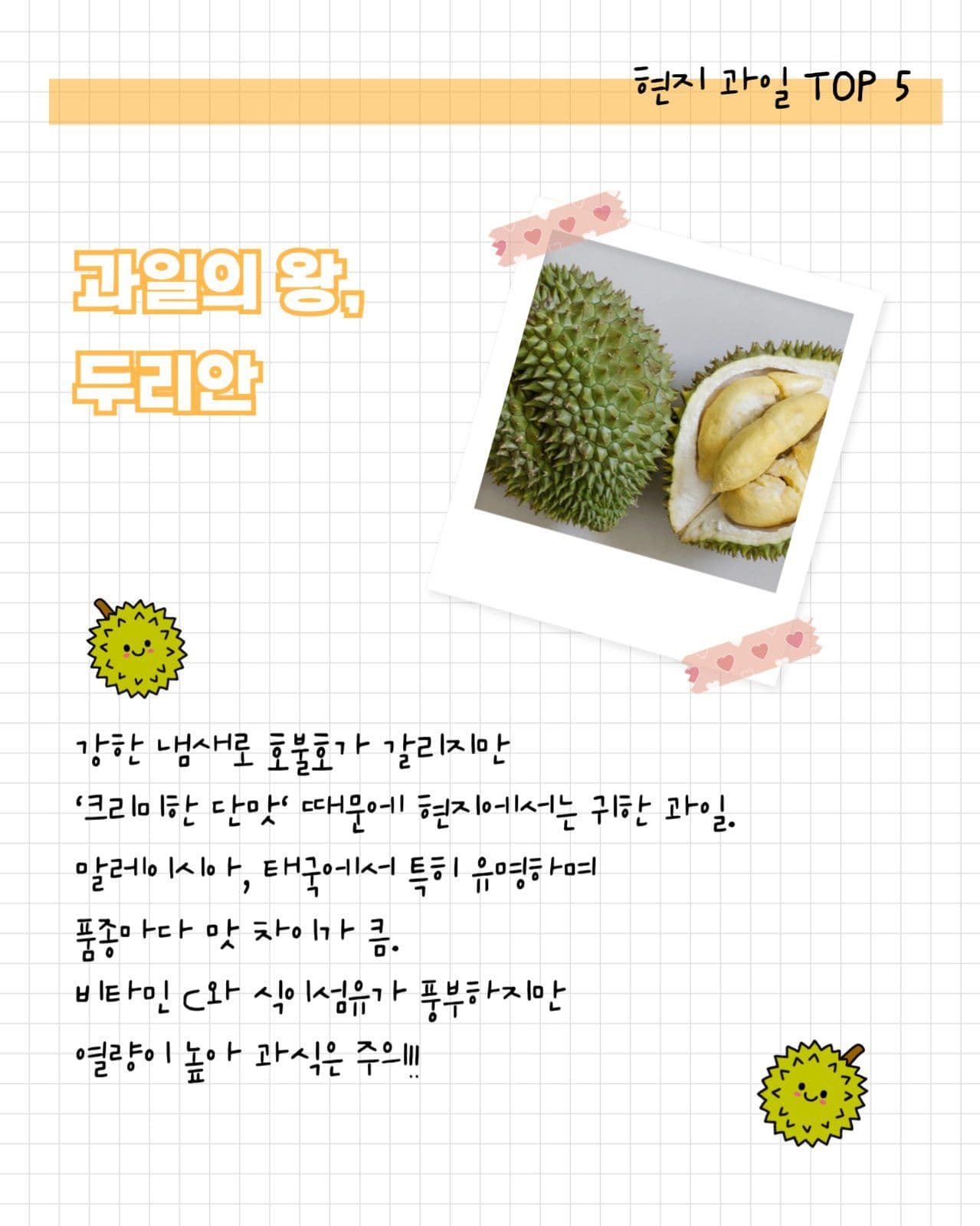 여행지 현지 과일 소개 세로 카드뉴스