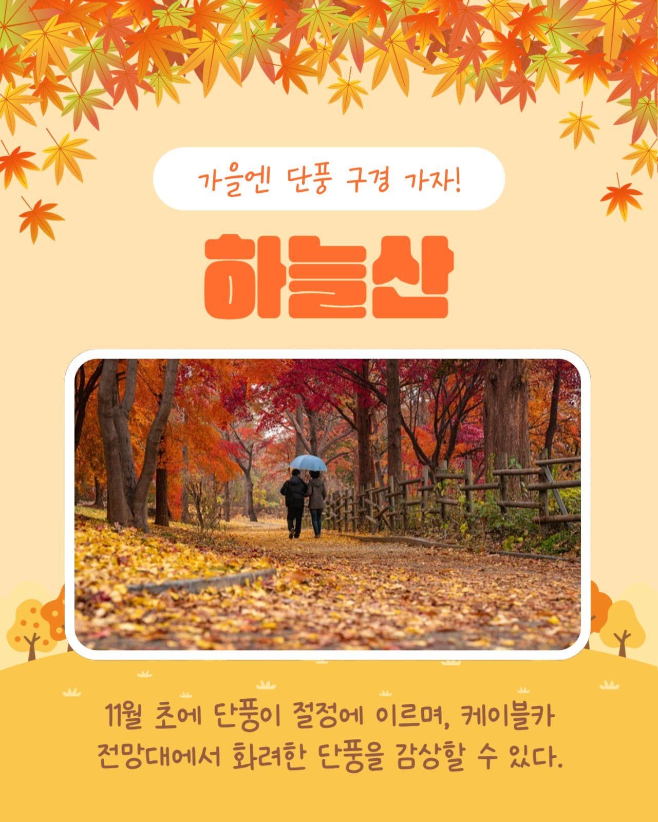 단풍명소 알아보기 카드뉴스
