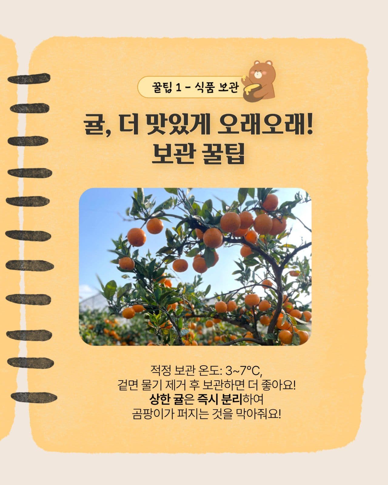 귀여운 옐로우 메모장 카드뉴스 