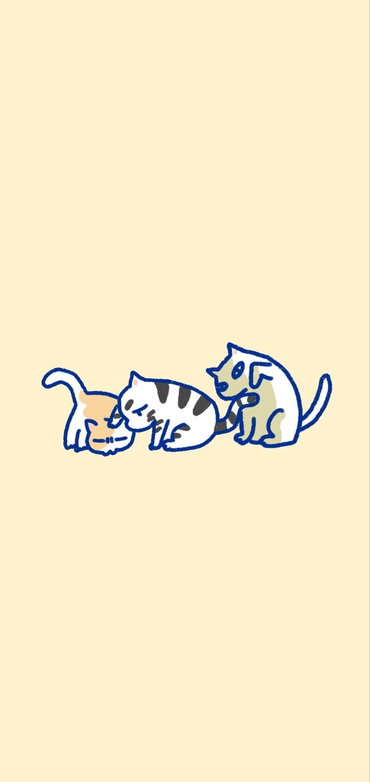 우리 동네 냥아치들~~