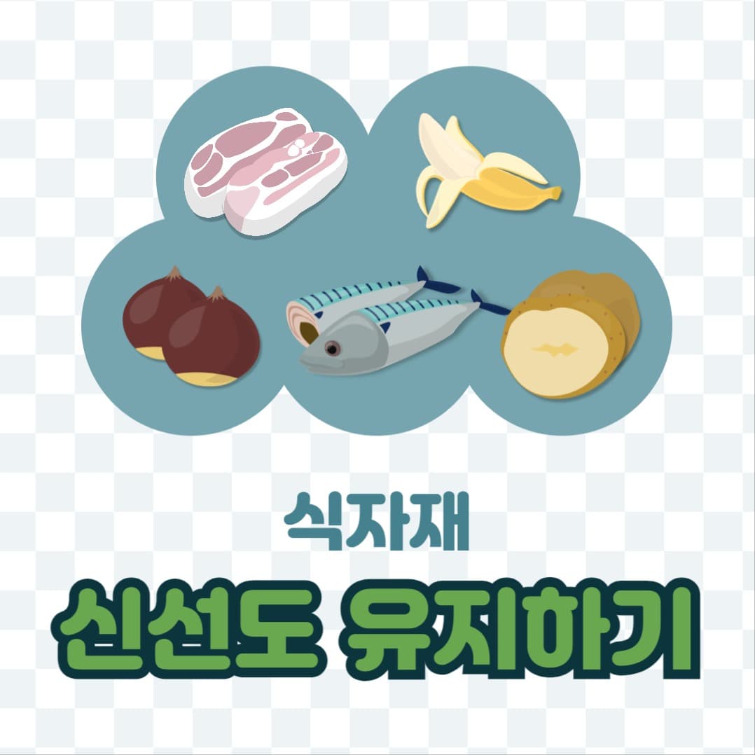 식자재 신선도 유지하기 인스타