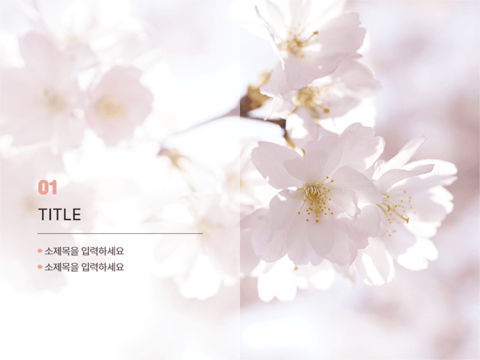 벚꽃엔딩 ppt