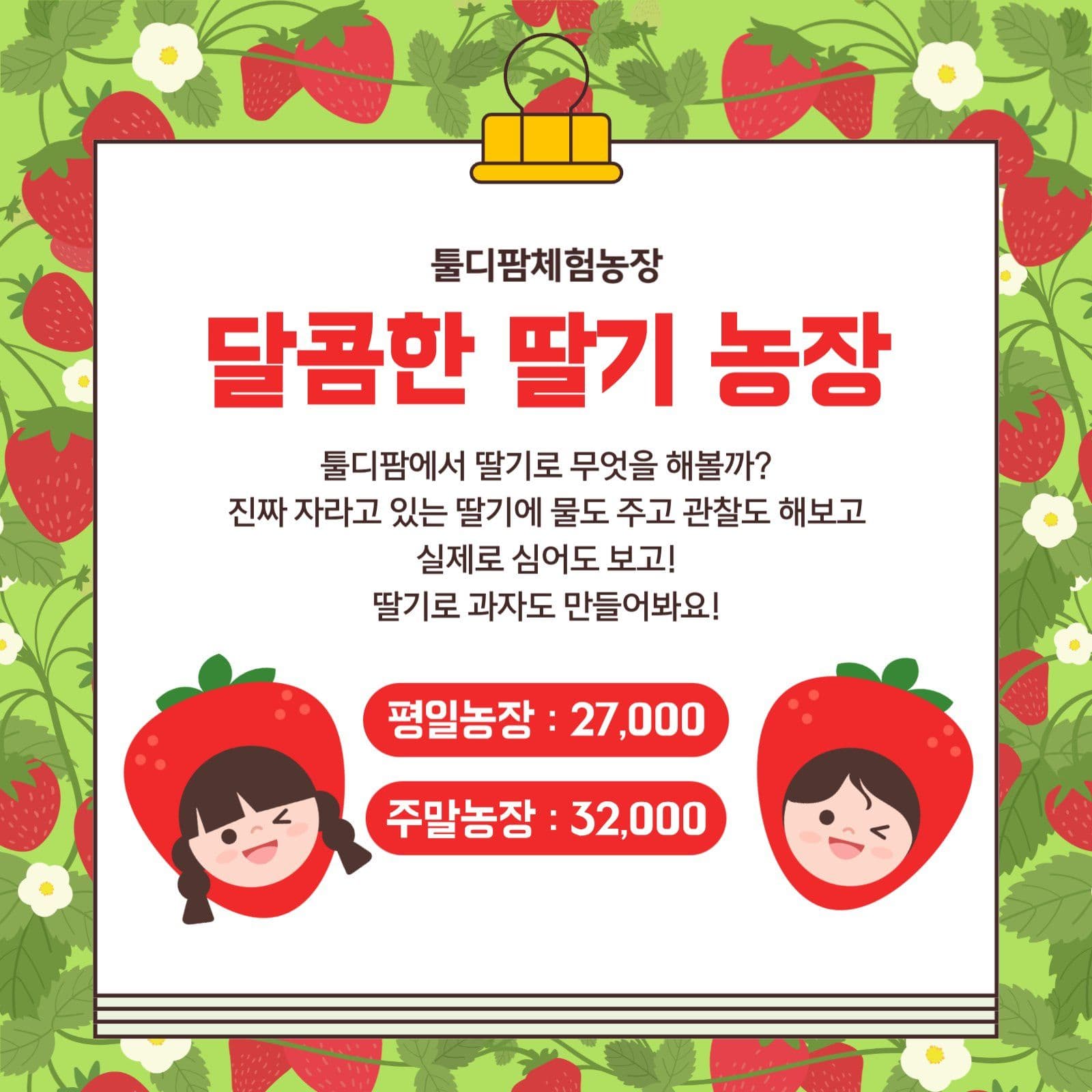 딸기 체험 농장