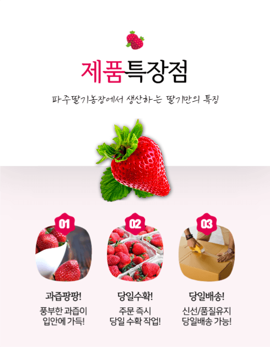 파주딸기농장 상세페이지
