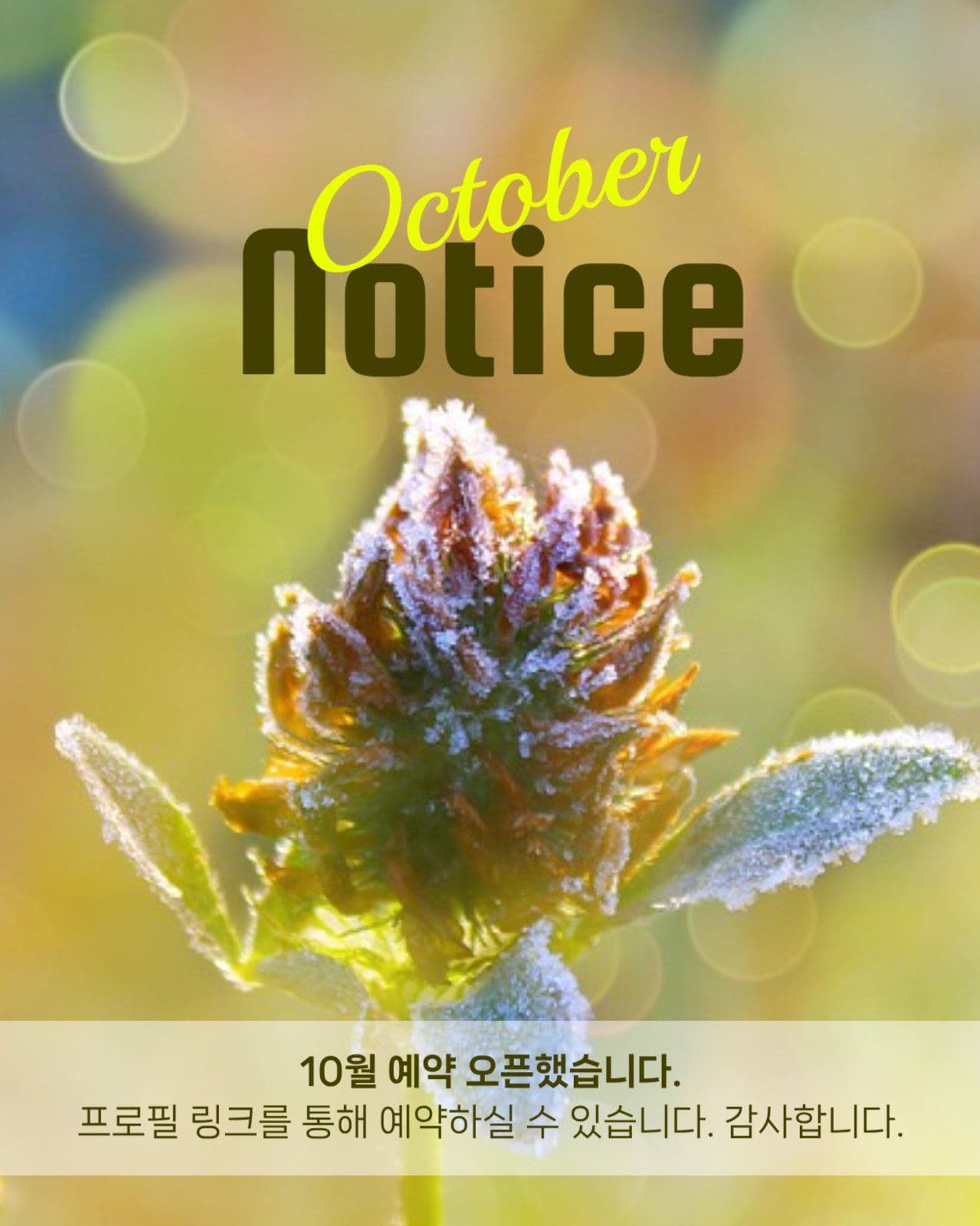 10월 예약 안내 게시물
