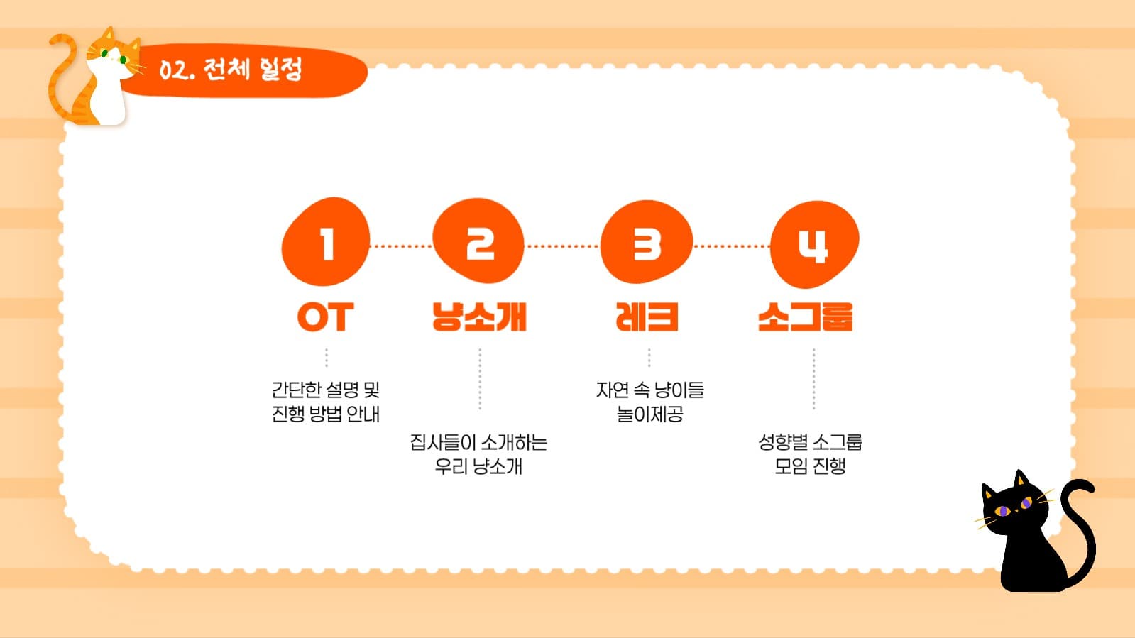 고양이 모두모여 냥소풍!