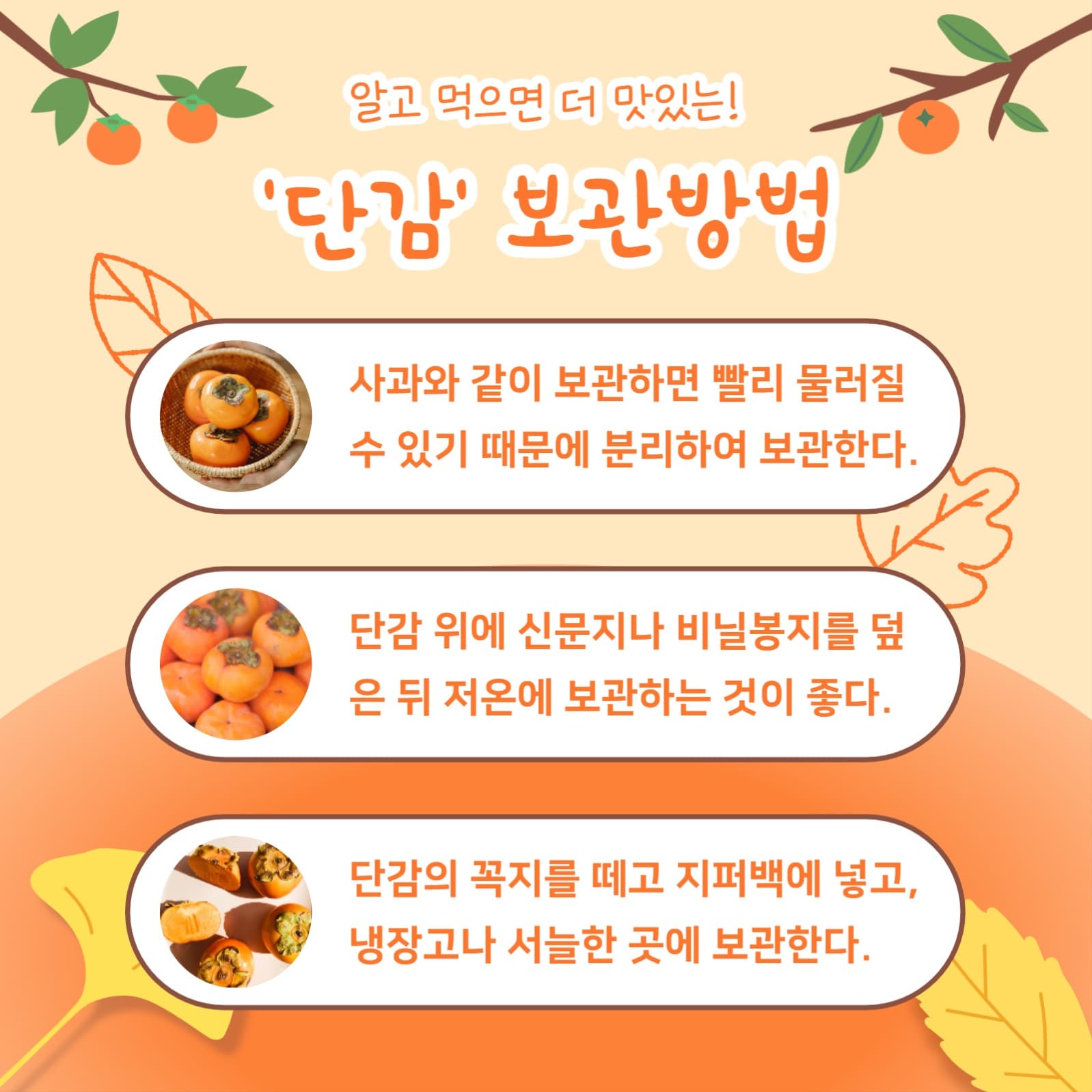 가을 단감 정보 (카드뉴스)
