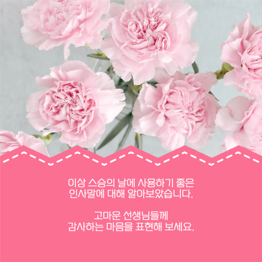 스승의 날 인사말 모음 카드뉴스