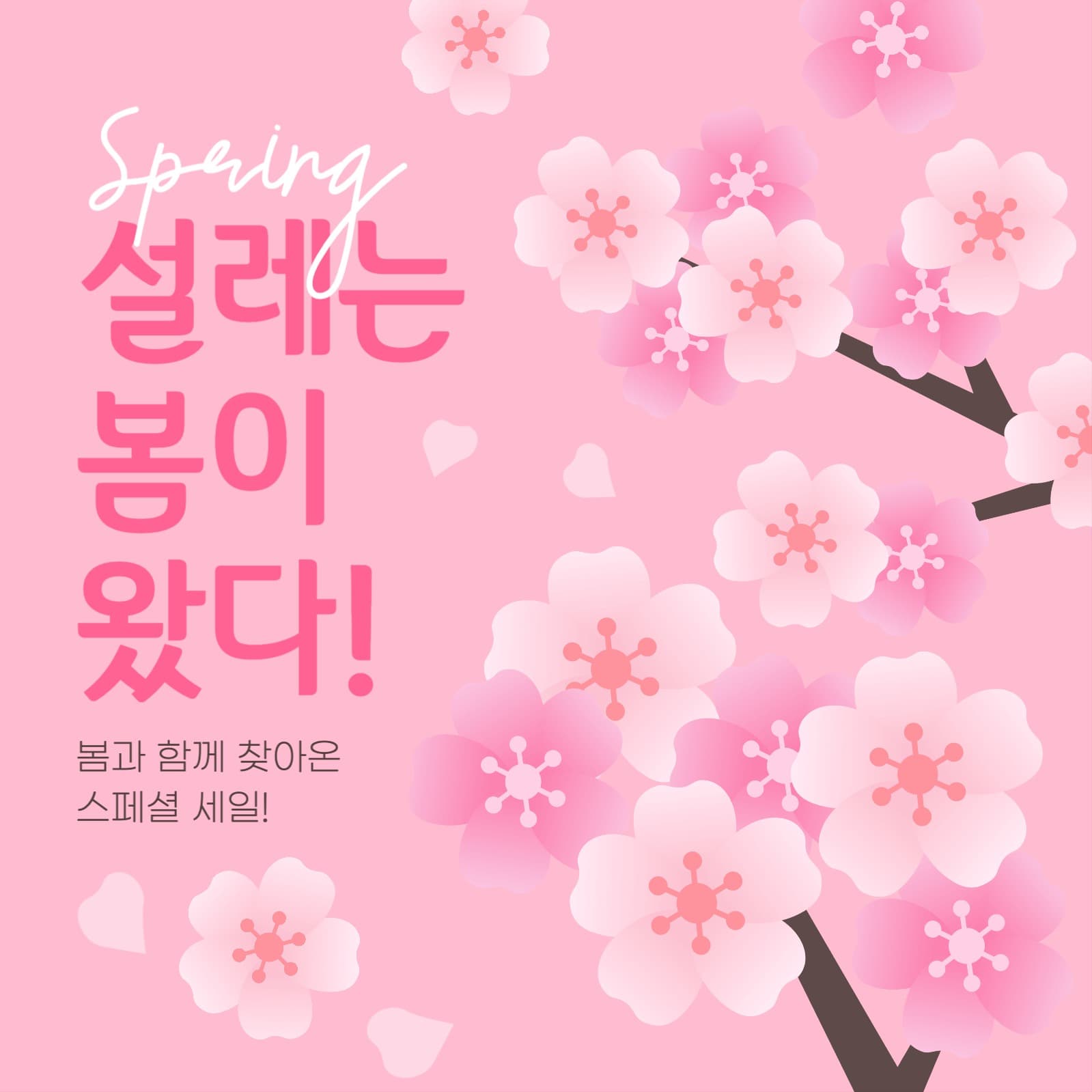 봄 세일 게시물